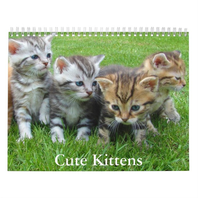 Calendrier Cute Kitten Calendar (Protection)