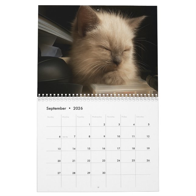 Calendrier Cute kitten calender for 2026 (Sep 2026)