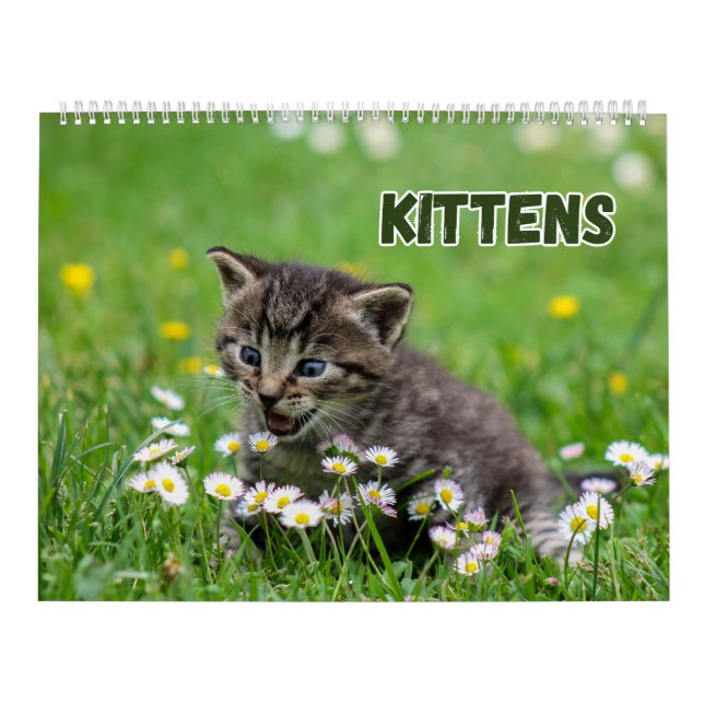 Calendrier Cute Kittens (Protection)
