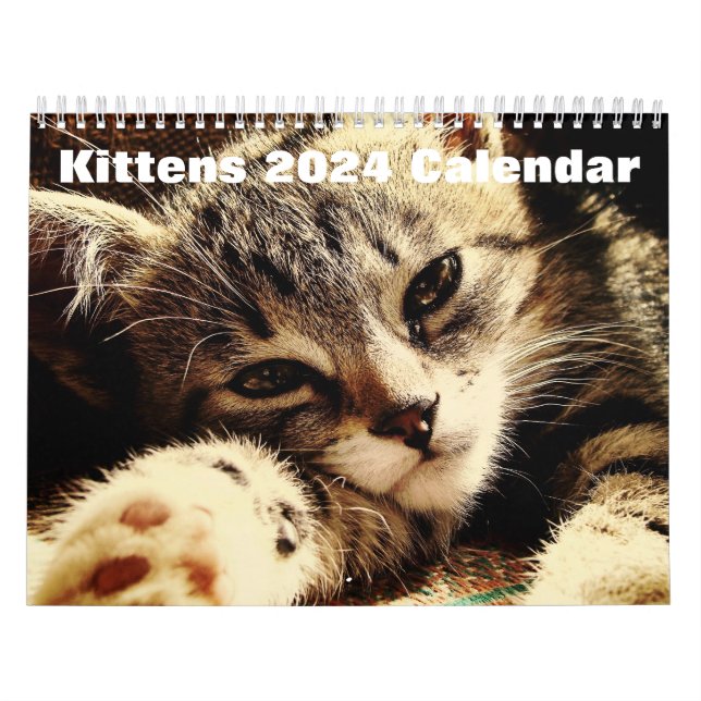 Calendrier Cute Kittens 2024 (Protection)