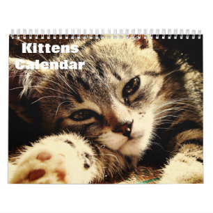 Calendrier Cute Kittens 2025