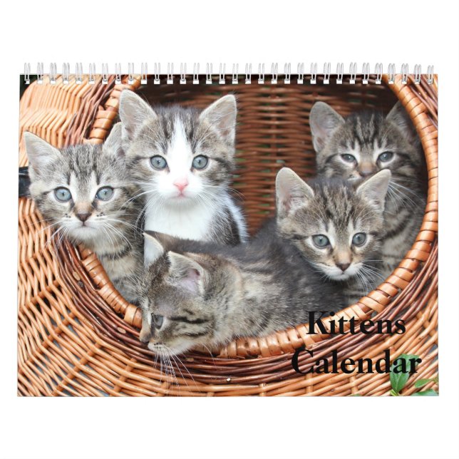 Calendrier Cute Kittens 2025 Bengale Tiger (Protection)