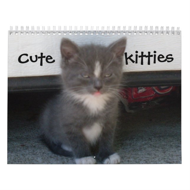 Calendrier CUTE KITTIES (Protection)