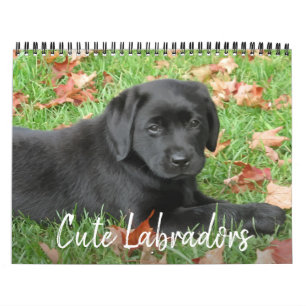 Calendrier Cute Labradors - Black Labrador Retriever Chien