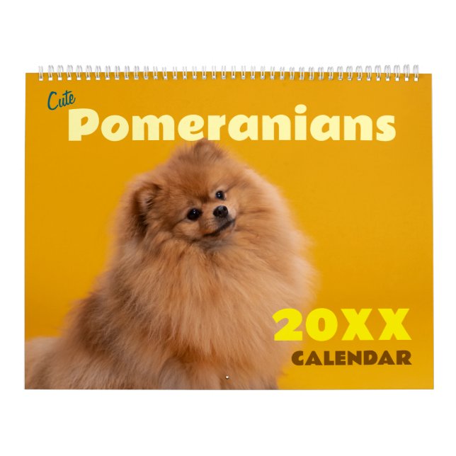 Calendrier Cute Pomeranians Calendar 2026 Dogs (Protection)