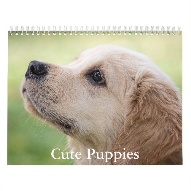 Calendrier Cute Puppies Calendar (Protection)