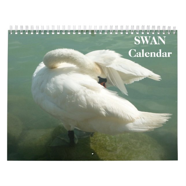 Calendrier Cygne 2023 (Protection)