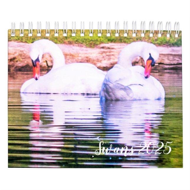 Calendrier cygne 2025 (Protection)