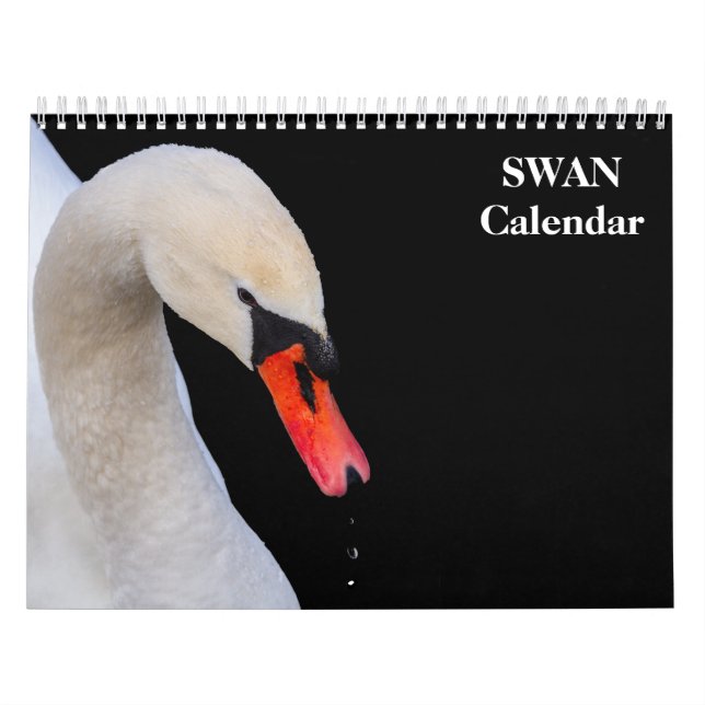 Calendrier Cygne 2027 (Protection)