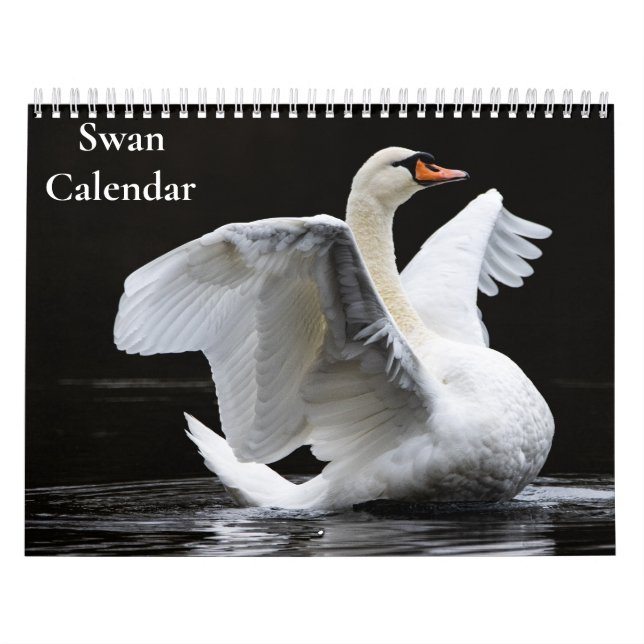 Calendrier Cygne 2027 (Protection)