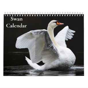 Calendrier Cygne 2027