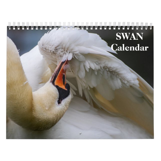 Calendrier Cygne 2027 (Protection)