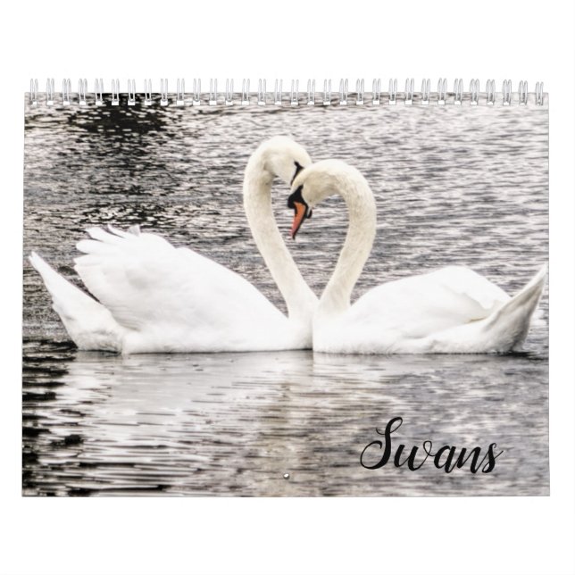 Calendrier Cygnes de Spring Grove  (Protection)