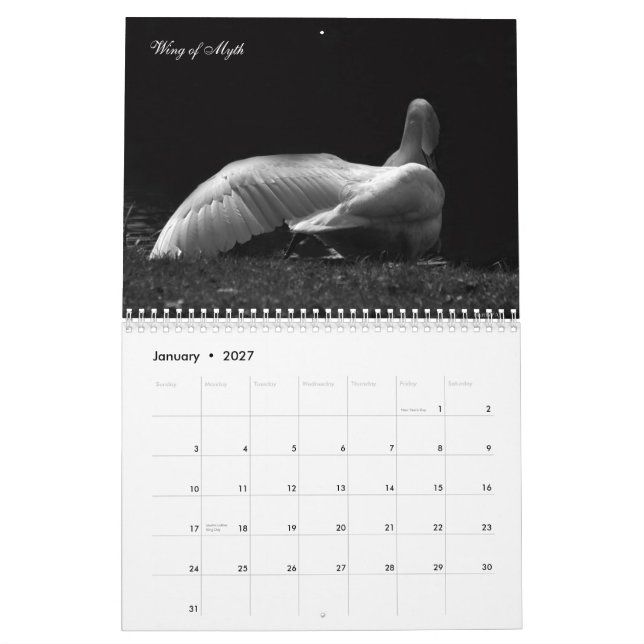 Calendrier Cygnes magiques 2011 (Jan 2027)
