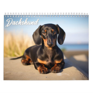 Calendrier Dachshund
