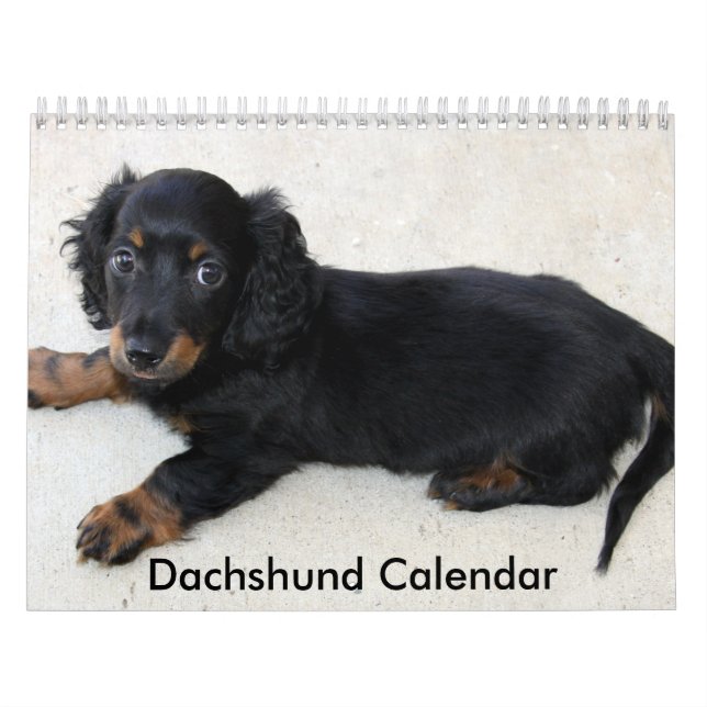 Calendrier Dachshund 2023 Photos personnalisées (Protection)
