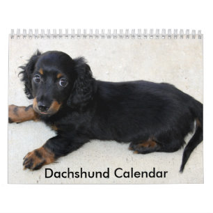 Calendrier Dachshund 2023 Photos personnalisées