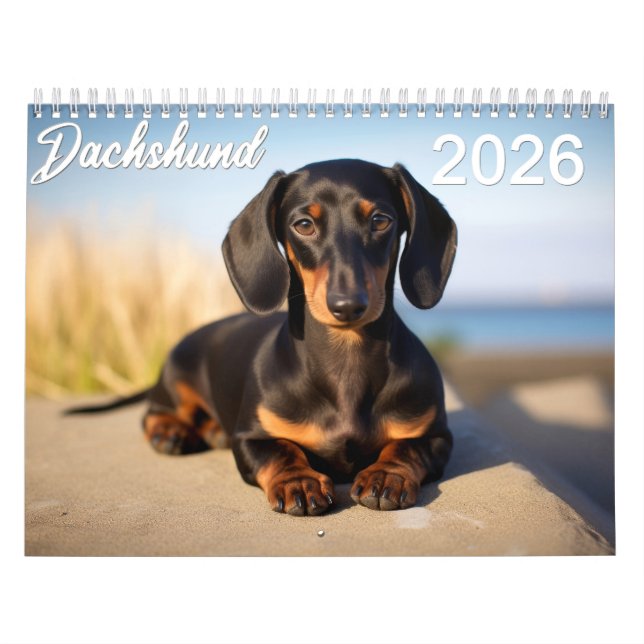 Calendrier Dachshund 2026 (Protection)