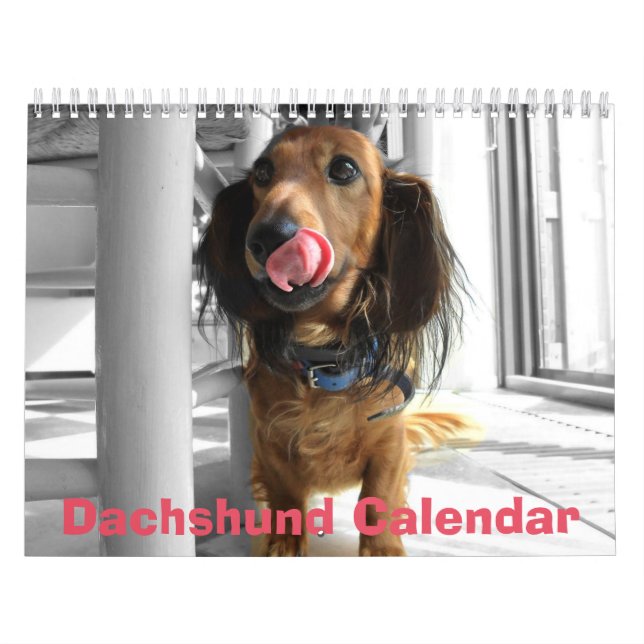 Calendrier Dachshund 2026 Ajouter Vos Photos (Protection)