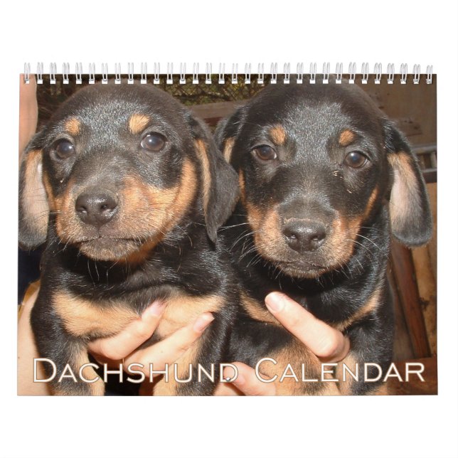 Calendrier Dachshund 2026 Avec Photos (Protection)