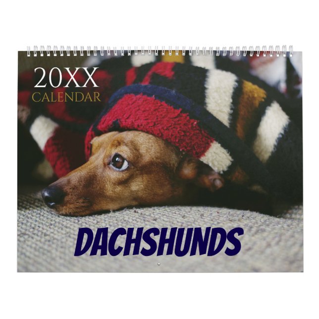 Calendrier Dachshund Calendar Dog 2026 Photo (Protection)