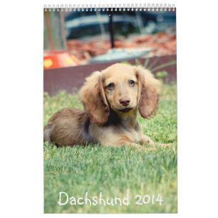 Calendrier Dachshunds 2014