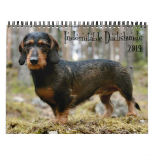 Calendrier Dachshunds indomptables Année personnalisée