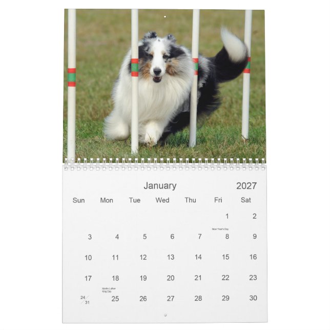 Calendrier d'agilité de chien de berger de (Jan 2027)
