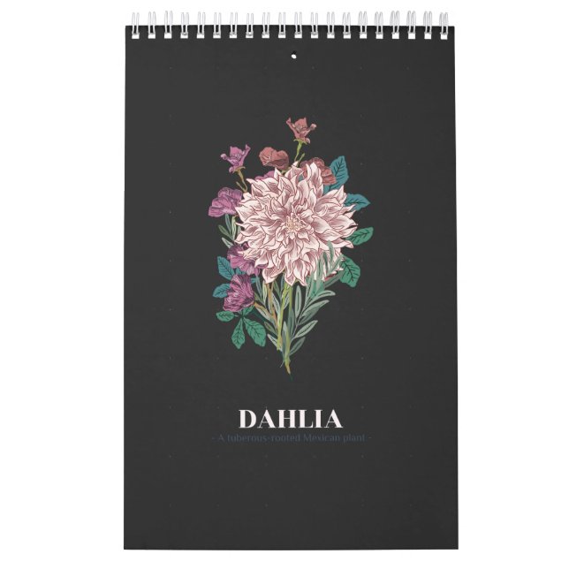 CALENDRIER DAHLIA (Protection)