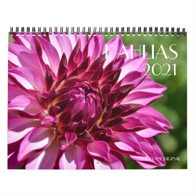 Calendrier DAHLIA 2021 (Protection)