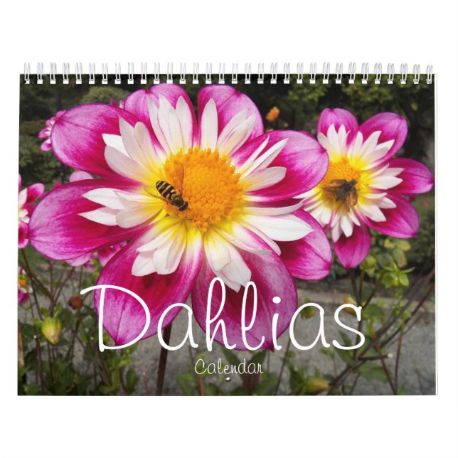 Calendrier Dahlias coloré Floral Photographie (Protection)