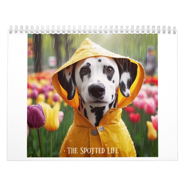 Calendrier Dalmatien La Vie Posée (Protection)