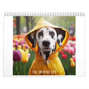 Calendrier Dalmatien La Vie Posée