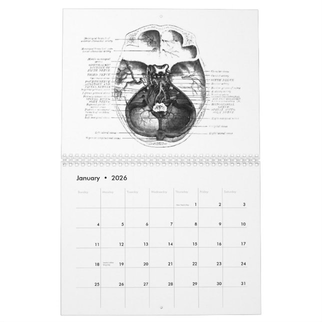 Calendrier d'anatomie (Jan 2026)
