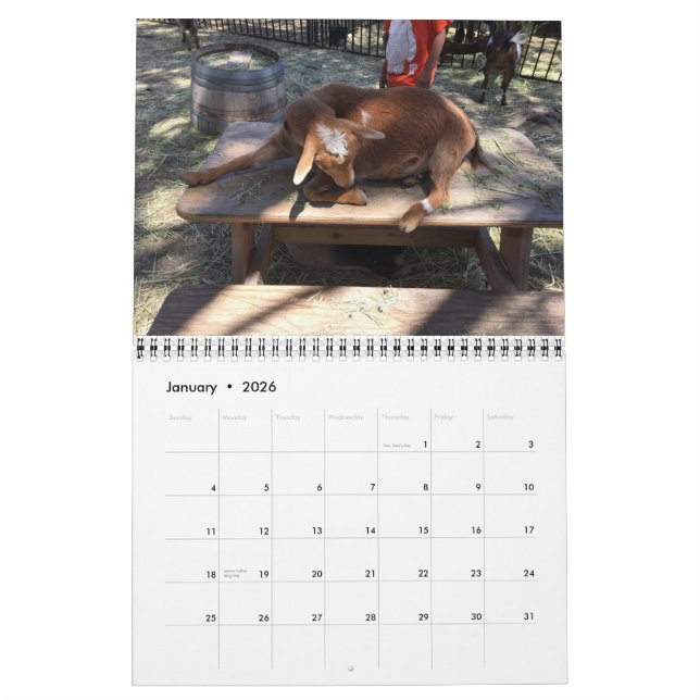 Calendrier d'animal de ferme (Jan 2026)