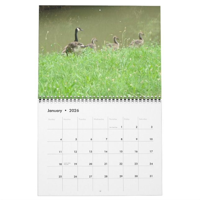 Calendrier d'animal sauvage (Jan 2026)