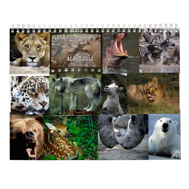 CALENDRIER D'ANIMAUX SAUVAGES (Dos)