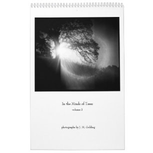 Calendrier Dans l'esprit des arbres, volume 3