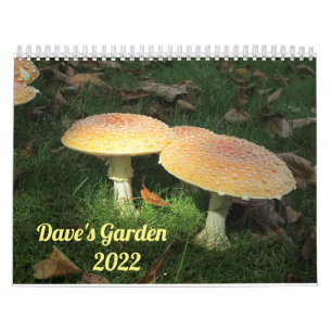 Calendrier Dave's Garden 2022 Calendar