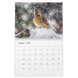 Calendrier de 12 mois