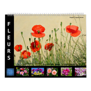 Calendrier de 12 mois de diverses fleurs