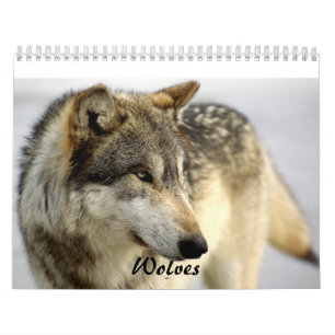 Calendrier de 2009 loups