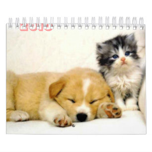 calendrier de 2010 animaux