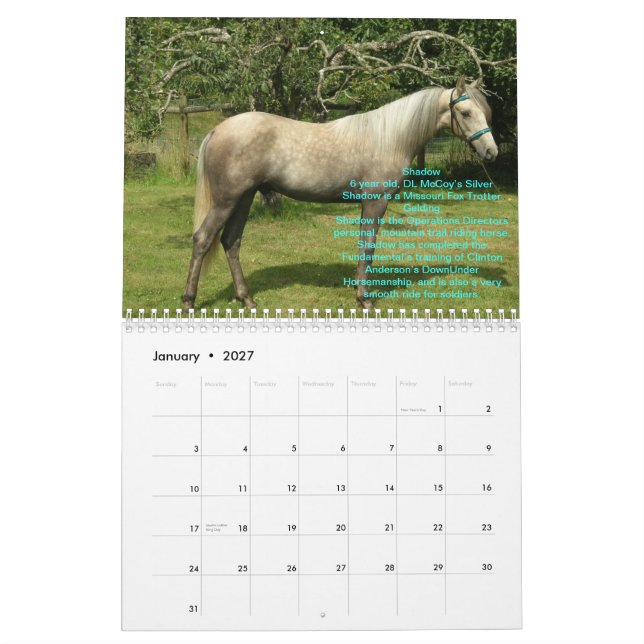 Calendrier de 2012 chevaux de RTR (Jan 2027)