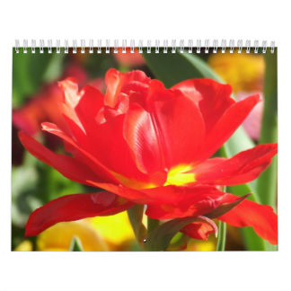 Calendrier de 2012 fleurs
