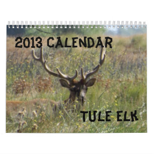 Calendrier de 2013 élans
