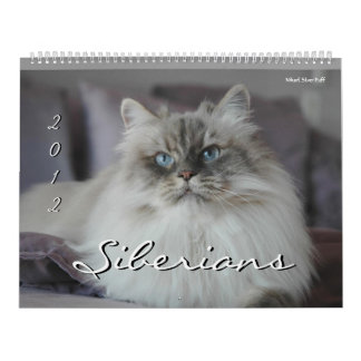 Calendrier de 2014 de Sibériens chats et de