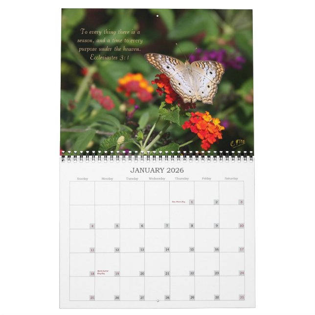 Calendrier de 2014 inspirations - papillons (Jan 2026)