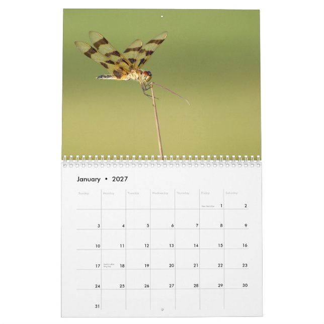 Calendrier de 2014 libellules et de Damselflies (Jan 2027)