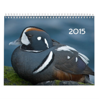 Calendrier de 2015 canards